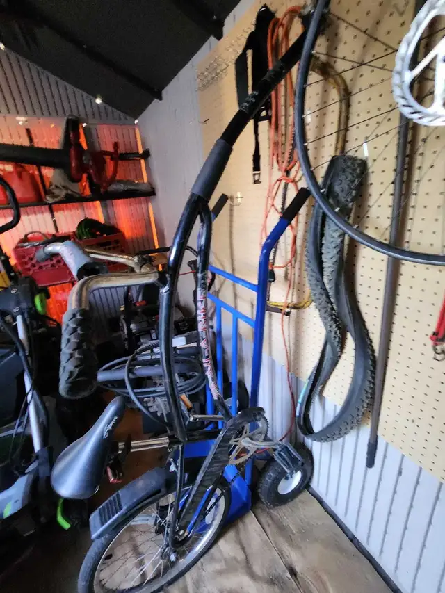 Trail-A-Bike Child Bicycle Bike in Kids in Edmonton - Image 2