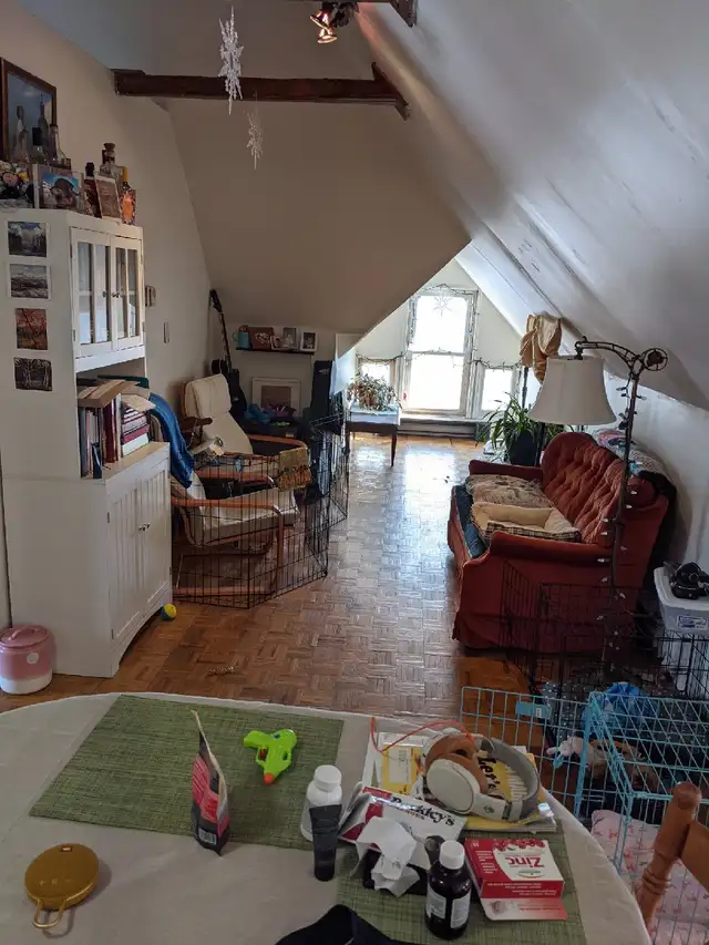 Private 1bed apt. 1st mth free for student.