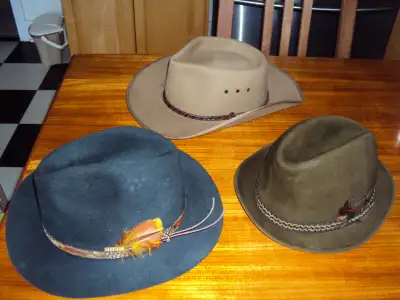 Magnifiques chapeaux. Notez que le prix diffère pour chaque chapeau. Maison sans fumée et sans anima...