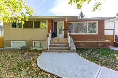 Allendale 2 Basement rooms for rent, close to University