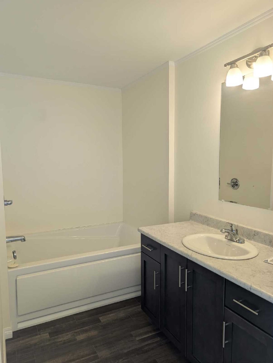 Spacious 3 Bd, 2 bath Mini Home 5