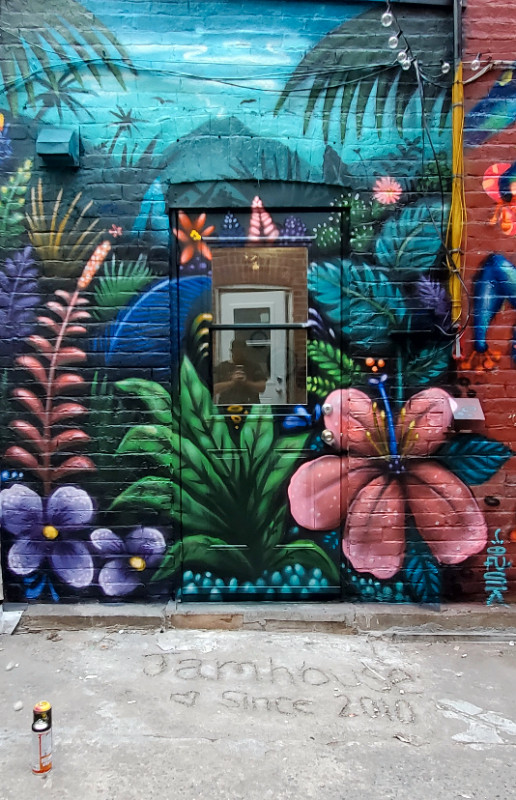 Graffiti personnalisé dans Artistes et musiciens  à Ville de Montréal