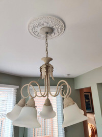 Beautiful 5 lamp Chandelier with matching Dome fixture set