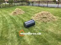 Spring Special! Yard Cleanup Aeration Power Rake Lawn Fertilizer