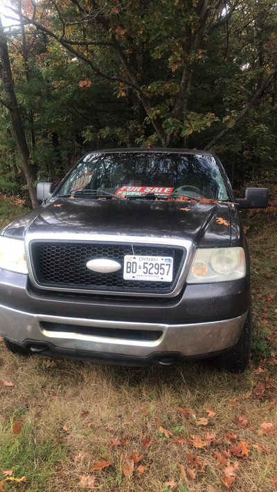 06 Ford F-150 for sale as is