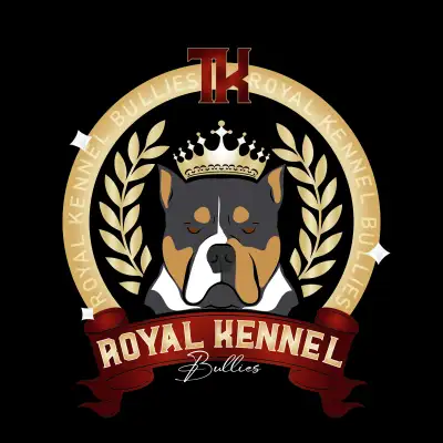 ABKC REG AMERICAN B U L L Y PUPS., View more