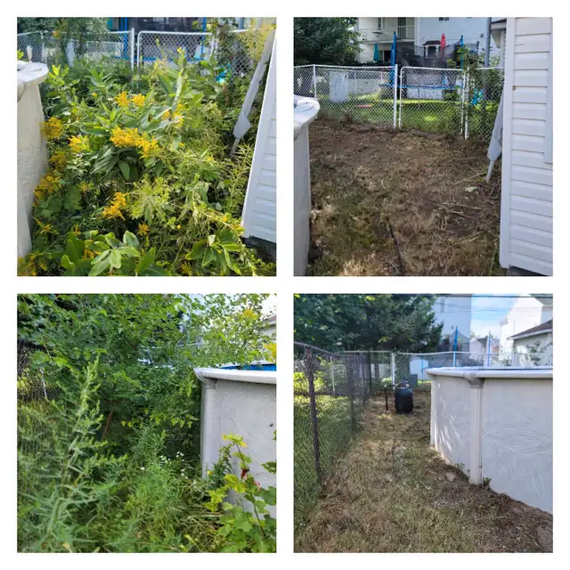 Pressure cleaning ☆ Grounds maintenance ☆ Debris collection62864355606146124