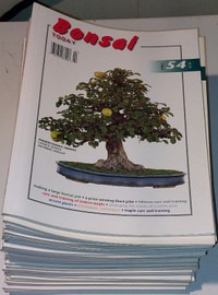 BONSAI Today Lot of 33 Magazines