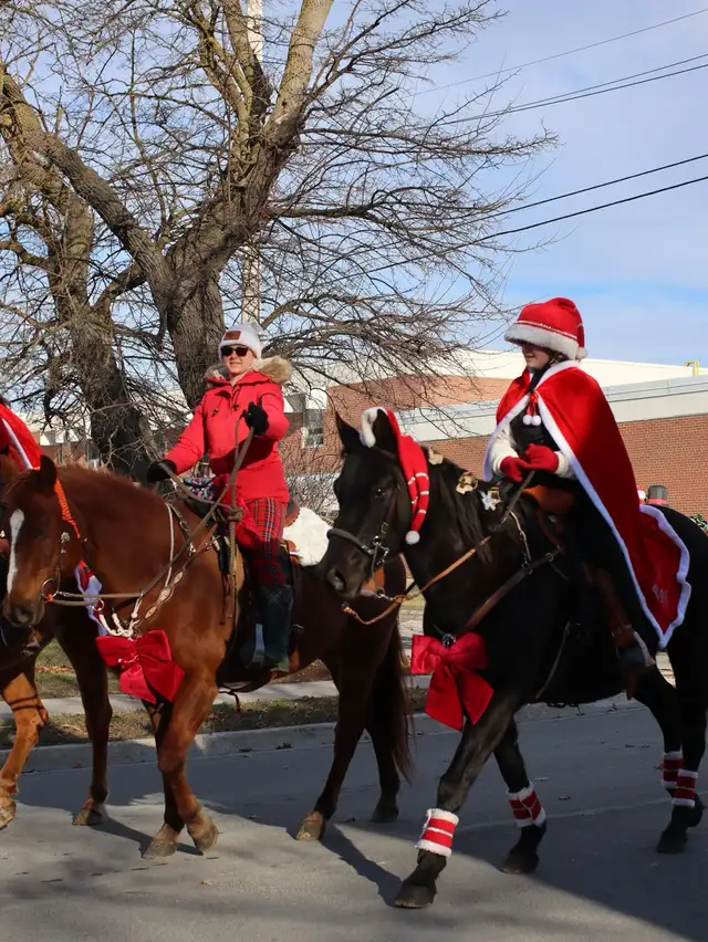 Quarter Horse Mare — part board in Horses & Ponies for Rehoming in Oshawa / Durham Region - Image 5