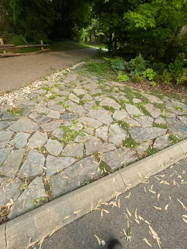landscaping/ clean up and weed picking62863224879490123