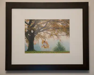 Framed original print, View more