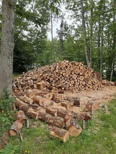 Looking for work have a tree u need down or so wood u need cut in the Liverpool area give me a call