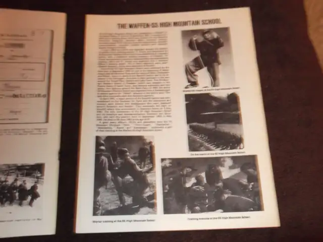 Hungarian and Italian Volunteers Waffen SS Books in Non-fiction in Mississauga / Peel Region - Image 4