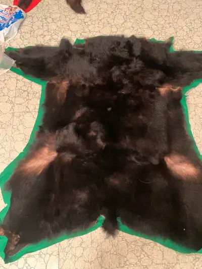 Bearskin and Wolfskin rugs, View more