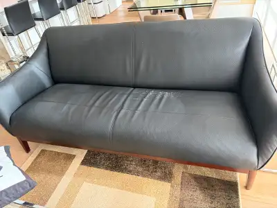 Black Mid-Century Modern Sofa, View more