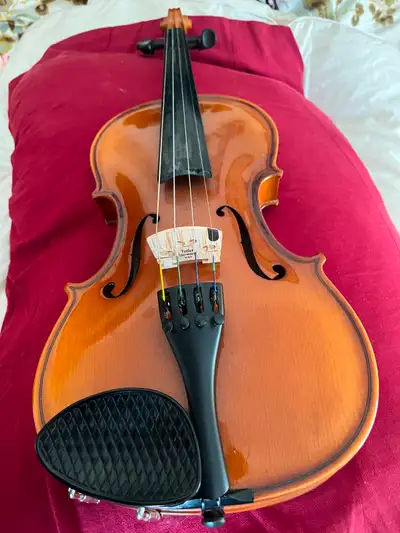 4/4 Durro Violin V 126-1, View more
