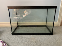 20 gallon tank