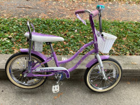 Schwinn bike-child