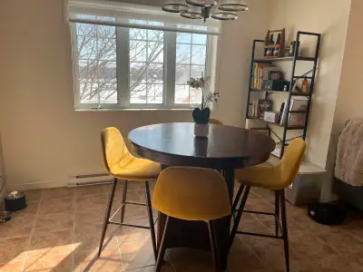 4½ à louer à Drummondville à 1230$/mois Disponible le 1er août.