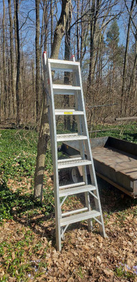Folding extension ladder 12 feet