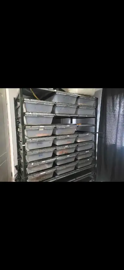 ARS 7030 for sale, View more