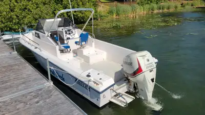 Lund Angler with 250 hp Etec & Galvanized roller trailer ** Boat must be seen to be appreciated. Sta...