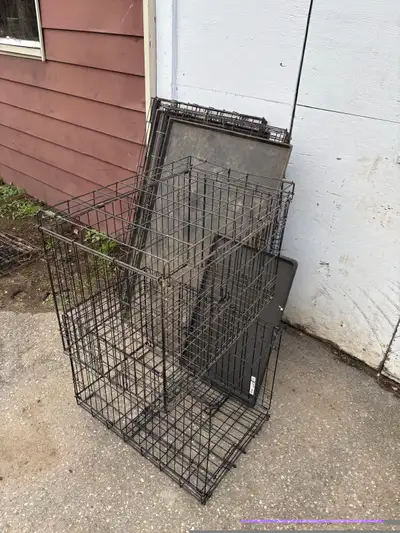 Two 48 in  x 30 and two 30 in x 20 in Dog Crates, View more