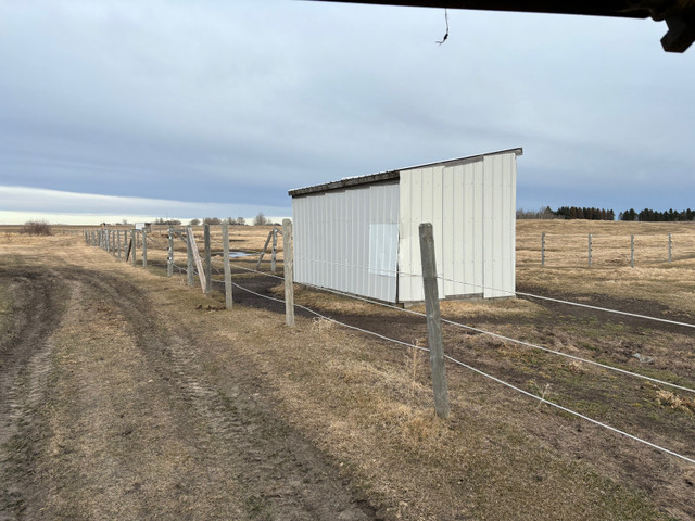 Horse Shelters in Equestrian & Livestock Accessories in Edmonton - Image 3