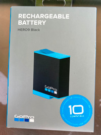 HERO9 Rechergeable Battery