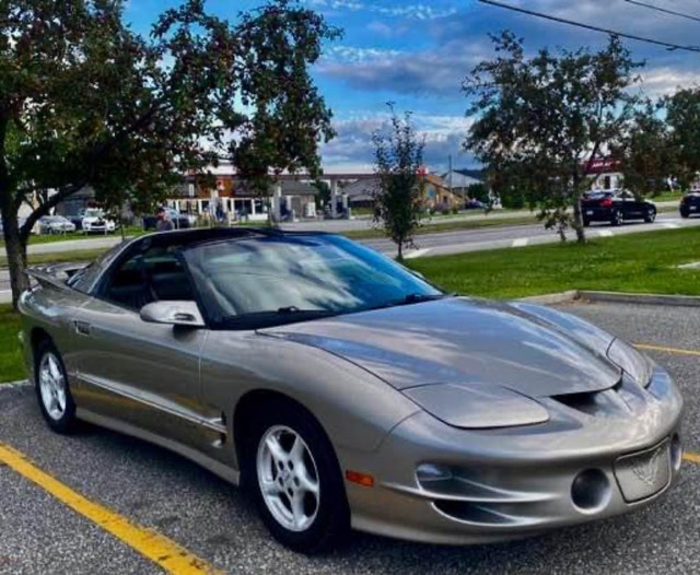 2002 Pontiac firebird — photo 4