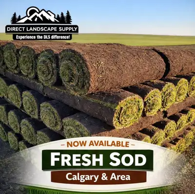  Kentucky blue grass sod, View more