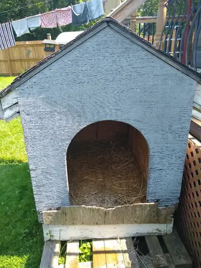 Insulated dog house available for large dog. Solid wood . Shingled roof and has a leash hook up. $70...
