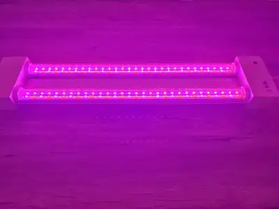 LED grow light, View more