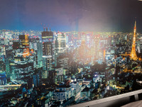 Tokyo at Night Wall Paper by Great Art Free bag of adhesive