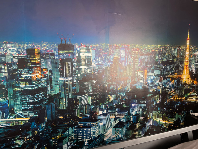Tokyo at Night Wall Paper by Great Art Free bag of adhesive in Hobbies & Crafts in Mississauga / Peel Region
