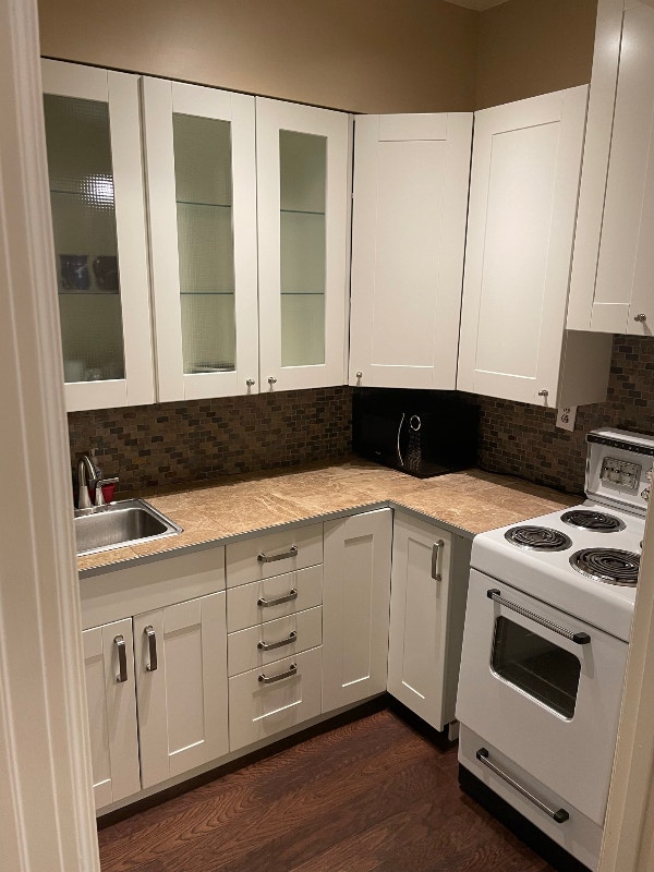 Fully Furnished Downtow Studio Condo Balfour Building Aug 26th Long