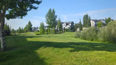 Experienced Lawn Care Helper Wanted, View more