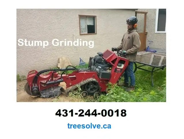 Tree Removal - Pruning - Disease Treatment | 431-244-001862863247569026124