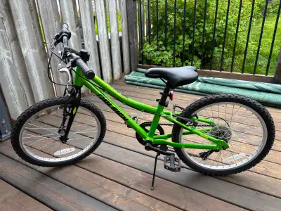 20” bike Raleigh Vibe - aluminum frame, View more