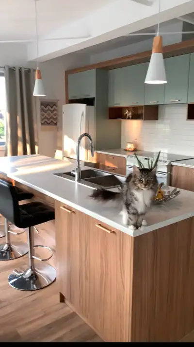 Appartement/condo à louer