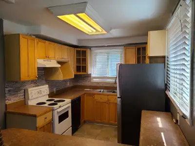 3 Bedroom - 1 Bath - Spacious Unit - Free Parking