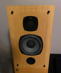Castle Acoustics Warwick Speakers 