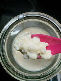 FRESH KEFIR GRAINS (Comes With Instructional)
