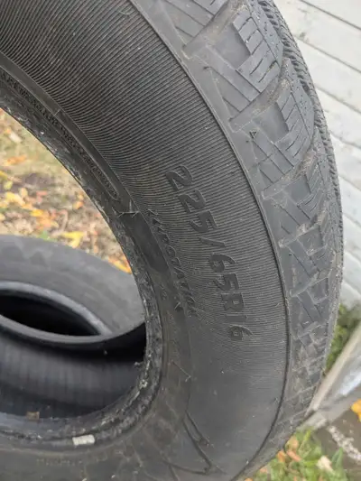 Good for one more season at least please message for owners contact info if Interested