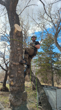 Woodland Tree Service