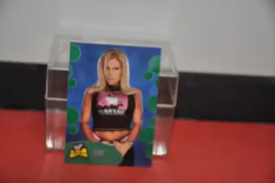 2001 WWF The Ultimate Diva Collection Fleer # 14 Terri Debut roo, View more