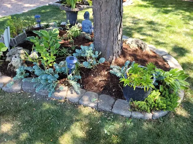 Local Canadian Leaf Cleanup/Snow Removal in Lawn, Tree Maintenance & Eavestrough in Hamilton - Image 6