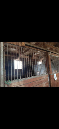 Horse stall doors / fronts /partitions 