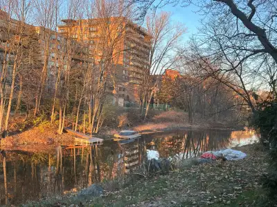 2 Beds 1 Bath Apartment 1900$