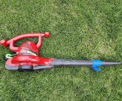 Toro Ultra Leaf Blower, View more